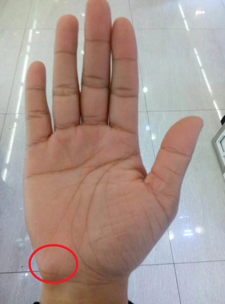 点击看大图 图片加载中...