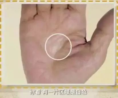 点击看大图 图片加载中...