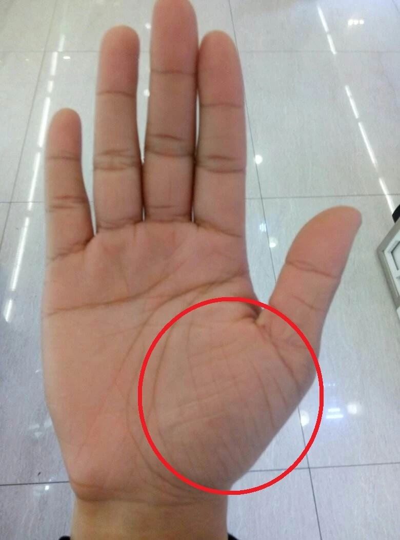 点击看大图 图片加载中...