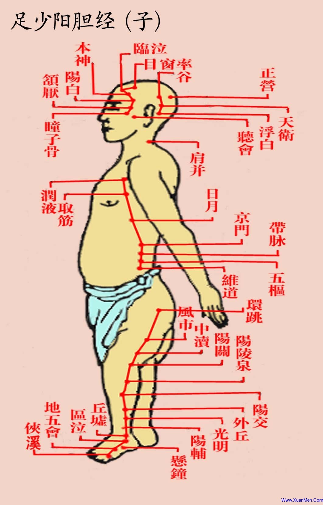 道家经络图(彩色·全)-中医-国学一字堂