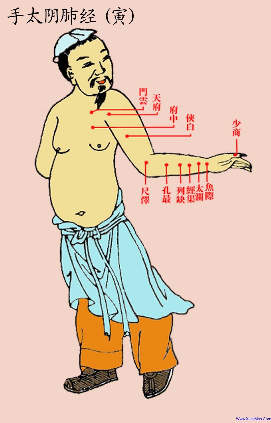 十二、足厥阴经脉与腧穴-中国推拿-医学