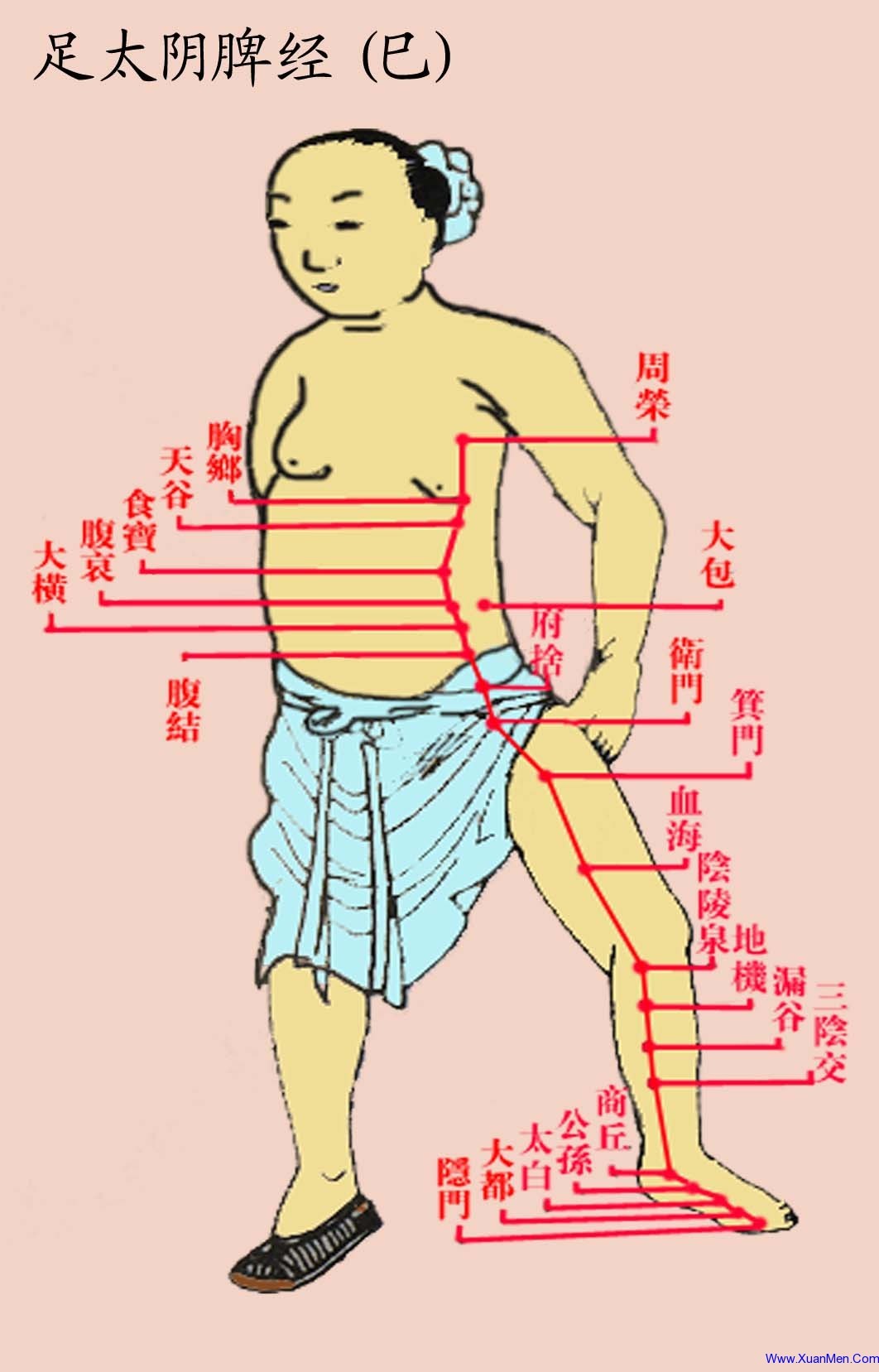 经络图图片素材-编号24199347-图行天下