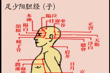 道家经络图(彩色·全)