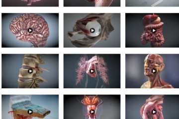 【运动解剖】人体解剖学方位方向术语|思维导图