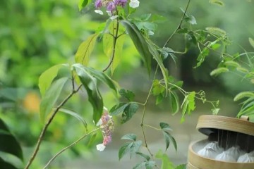 老了重读《西游记》，才看懂4个生活哲理