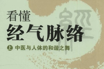 看懂经气脉络(上)中医与人体的和谐之舞——PDF电子书