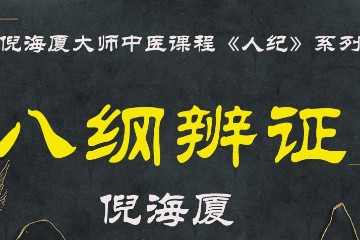 倪海厦——【八纲辨证】16个视频