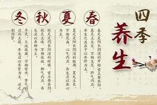 徐文兵讲《四季养生——五分钟养生小窍门》84集视频