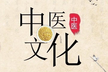 上海市名中医学术经验集 2册