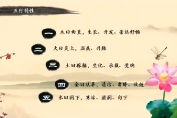 【六爻】道家术数《 全息六爻》5讲 - 陶敏浩