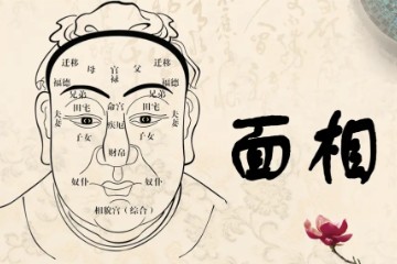 【道家术数】相学《面相40集》九龙弟子静心
