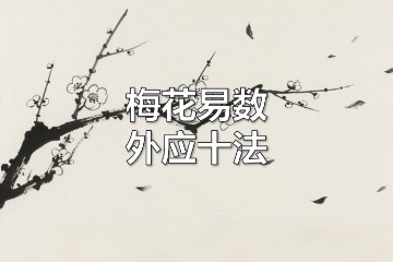 观物取象,因象测事:梅花易数外应十法与经典案例