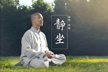 黄庭禅静坐 导引（小巫）