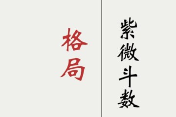 紫微斗数中级课程斗数格局12讲【视频教程】