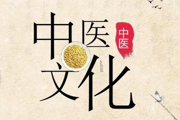国家级名老中医用药特辑 9册
